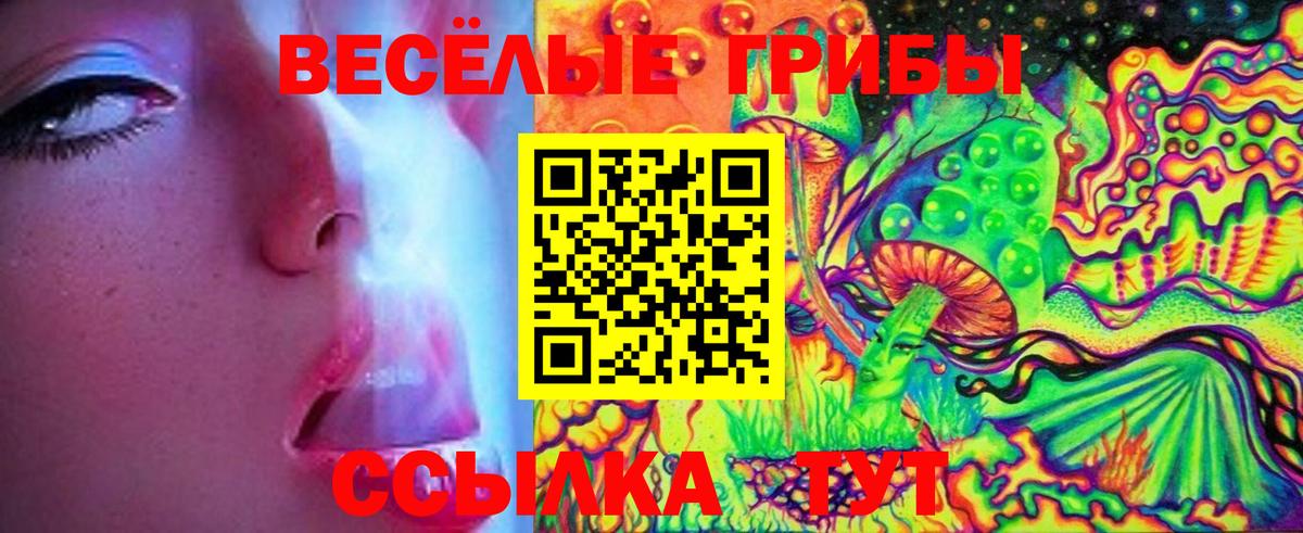 Галлюциногенные грибы MAGIC MUSHROOMS Павловский Посад